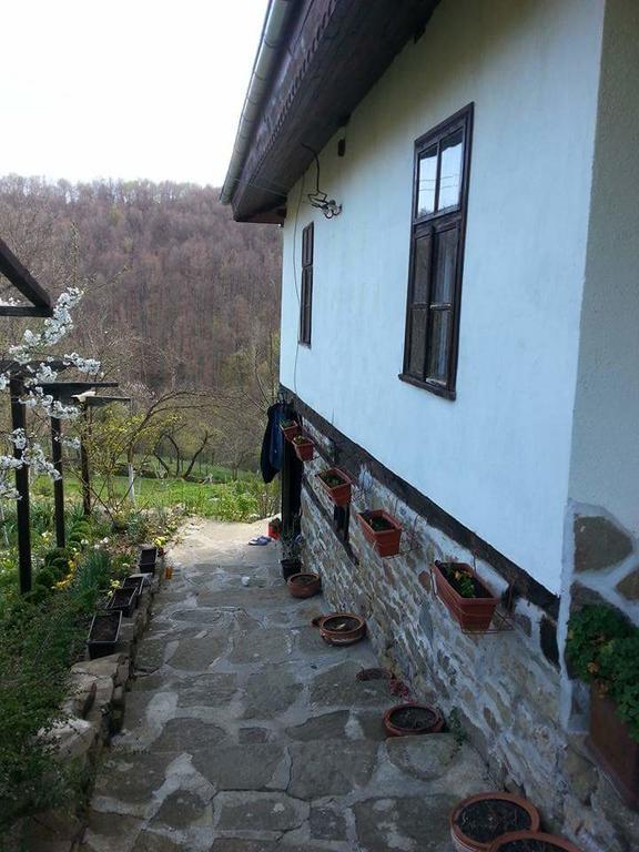 Къща За Гости Ножери Trjavna Exteriör bild